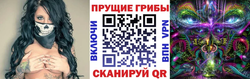Псилоцибиновые грибы Cubensis  Череповец 